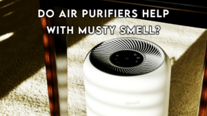 do-air-purifiers-help-with-musty-smell